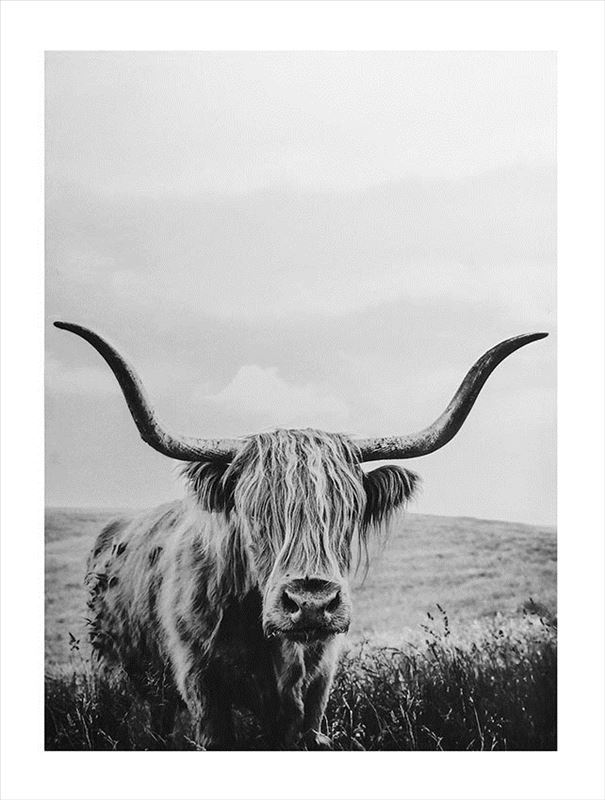 Yak Canvas Bliss Living Furniture